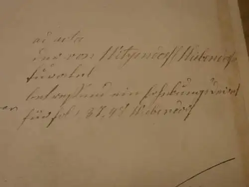 Rittmeister von Blücher in Wiebendorf , 1878 , W. von Witzendorff geb. Schliephacke , 3 Seiten , Adel Mecklenburg