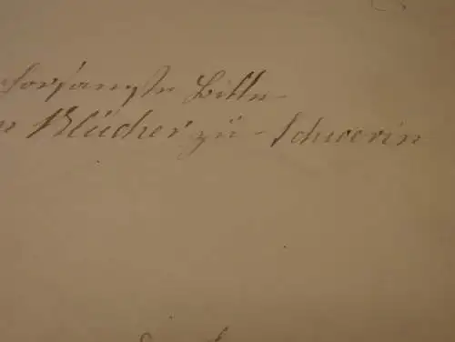 Rittmeister von Blücher in Wiebendorf , 1878 , W. von Witzendorff geb. Schliephacke , 3 Seiten , Adel Mecklenburg