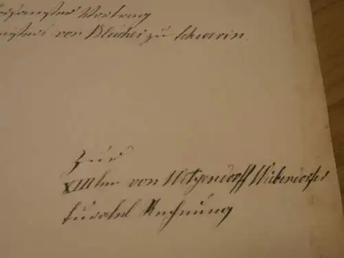 Rittmeister von Blücher in Wiebendorf , 1877 , W. von Witzendorff geb. Schliephacke , 2 Seiten , Adel Mecklenburg