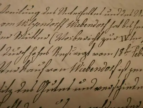 Rittmeister von Blücher in Wiebendorf , 1876 , W. von Witzendorff geb. Schliephacke , 5 Seiten , Adel Mecklenburg !!