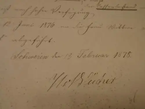 von Blücher in Wiebendorf , 1878 , W. von Witzendorff , Lübeck - Büchen , Bengerstorf , 14 Seiten , Adel Mecklenburg !!