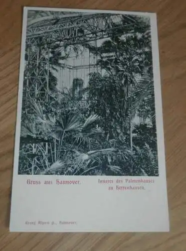 alte AK - Hannover Herrenhausen , ca. 1905 , Palmenhaus , Ansichtskarte !!!