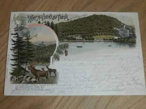 alte AK - Wiesenbeeker Teich b. Lauterberg i. Harz , 1901 , Ansichtskarte !!!