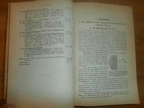 Einführung in die Kenntnis der Insekten , 1893 , H.J. Kolbe , kgl. Museum der Naturkunde , Insektenkunde ,Entomologie !!