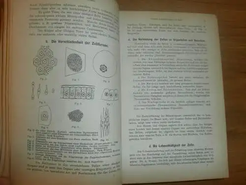 Einführung in die Kenntnis der Insekten , 1893 , H.J. Kolbe , kgl. Museum der Naturkunde , Insektenkunde ,Entomologie !!