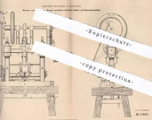 original Patent - Eduard Stuckert , München , 1881 , Pressen und Färben künstlicher Blätter & Blumen | Pflanzen , Gewebe