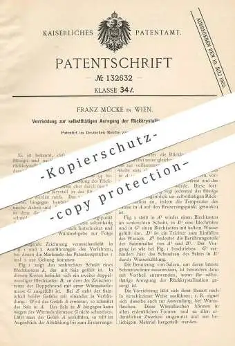 original Patent - Franz Mücke / Wien / Österreich , 1901 , Anregung der Rückkristallisation von Salz | Salz - Kristall