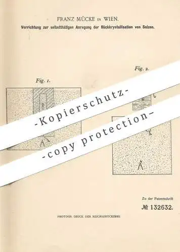 original Patent - Franz Mücke / Wien / Österreich , 1901 , Anregung der Rückkristallisation von Salz | Salz - Kristall