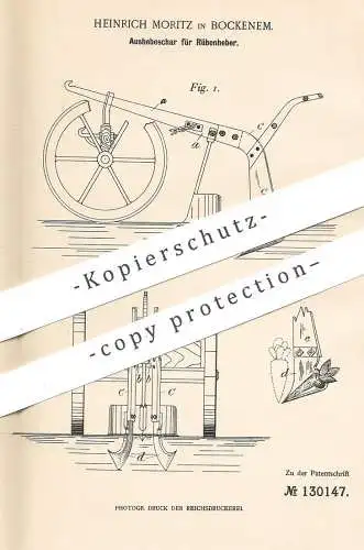 original Patent - Heinrich Moritz , Bockenem / Hannover , 1900 , Aushebeschar für Rübenheber | Rüben , Zucker | Pflug !!