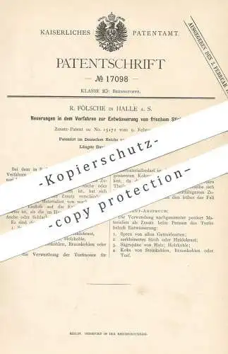 original Patent - R. Fölsche , Halle / Saale , 1881 , Entwässerung von frischem Stichtorf | Torf | Brennstoff | Kohle !