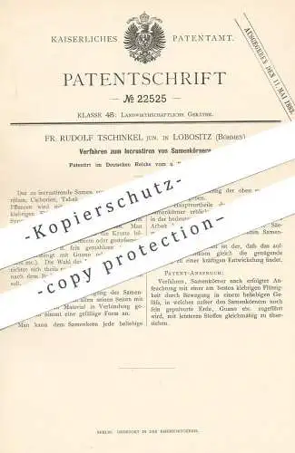 original Patent - Fr. Rudolf Tschinkel , Lobositz / Böhmen , 1882 , Inkrustieren der Samenkörner | Saat | Tabak , Mohn !