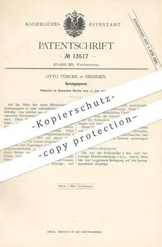 original Patent - Otto Türcke , Dresden 1880 , Sprengapparat | Sprengwagen | Wasser sprengen | Streuwagen , Winterdienst