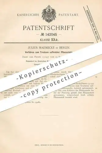 original Patent - Julius Maemecke , Berlin , 1902 , Trocknen saftreicher Pflanzenteile | Pflanzen - Presse | Darre !!