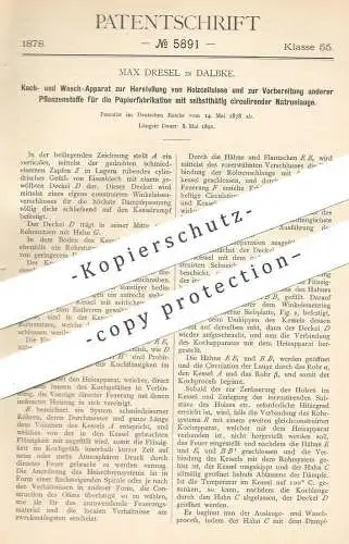 original Patent - Max Dresel , Dalbke , 1878 , Herstellung von Holzcellulose | Holz , Papier , Cellulose , Pflanzenfaser