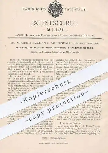 original Patent - Dr. Adalbert Smolian , Autzenbach / Kurland / Russland , 1899 , Halten von Pesso - Thermometer | Kühe