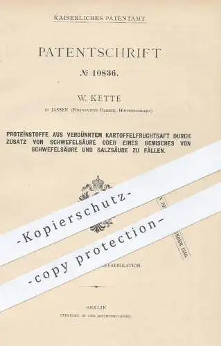 original Patent - W. Kette , Jassen / Dambee , Pommern , 1879 , Proteïnstoff aus Kartoffelfruchtsaft u. Schwefelsäure