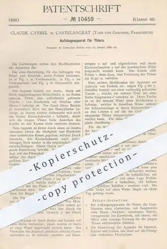 original Patent - Claude Cayrel , Castelsagrat , Tarn & Garonne Frankreich  1880 , Aufsäugeapparat für Tiere | Tierzucht