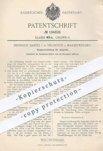 original Patent - Heinrich Bartel I , Neuhöfen / Marienwerder  1905 , Säugevorrichtung für Jungvieh | Tierzucht , Kälber