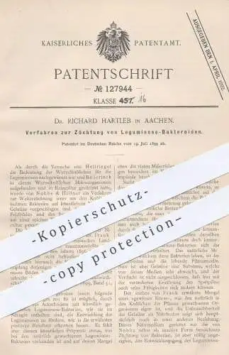 original Patent - Dr. Richard Hartleb , Aachen 1899 , Züchtung von Leguminose Bakteroïden | Nobbe & Hiltner | Bakterien