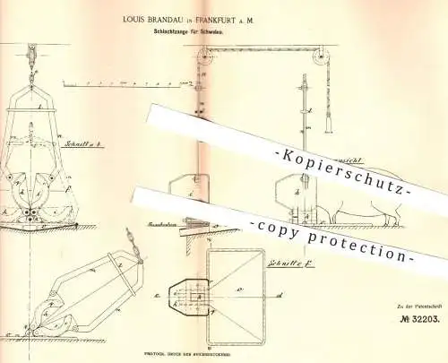 original Patent - Louis Brandau , Frankfurt / Main , 1885 , Schlachtzange für Schweine | Zange | Schlachter , Fleischer