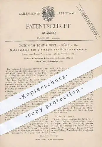 original Patent - F. Schmalbein , Köln  Rhein , 1885 , Webschützen zum Eintragen von Pflanzenstengeln , Webstuhl , Weben