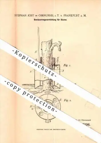 Original Patent - Stephan Jost in Oberursel - Frankfurt a.M., 1887 , Bewässerungsapparat für Bäume , Forst , Gartenbau !