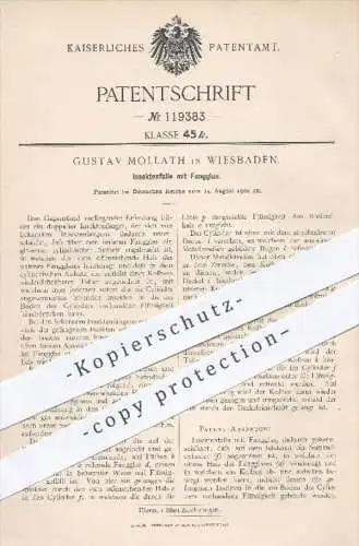 original Patent - Gustav Mollath in Wiesbaden , 1900 , Insektenfalle mit Fangglas , Insektenfänger , Insekten , Fliegen