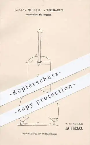 original Patent - Gustav Mollath in Wiesbaden , 1900 , Insektenfalle mit Fangglas , Insektenfänger , Insekten , Fliegen