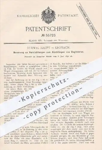 original Patent - L. Haupt , Kronach , 1890 , Absträngen der Zugtiere , Tier , Tiere , Pferde , Pferdewagen , Kutsche !!