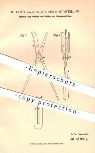 original Patent - Dr. Ernst von Stockhausen , Münster , 1902 , Schere zum Öffnen von Krebs- u. Hummerschalen , Scheren !