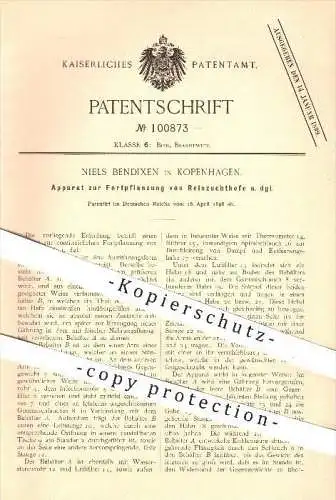 original Patent - Niels Bendixen , Kopenhagen , 1898 , Fortpflanzung von Reinzuchthefe , Hefe , Bier , Branntwein , Wein