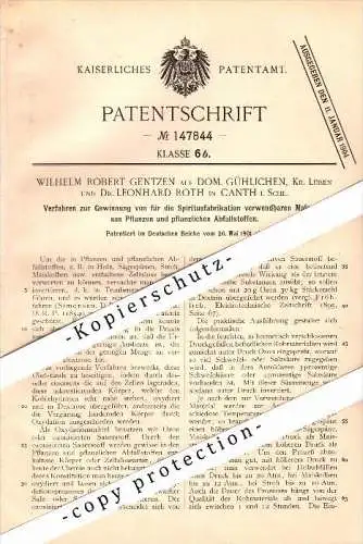 Original Patent - W. Gentzen auf Domäne Gühlichen / Lüben und Dr. L. Roth in Canth / Katy Wroclawskie , 1901, Schlesien