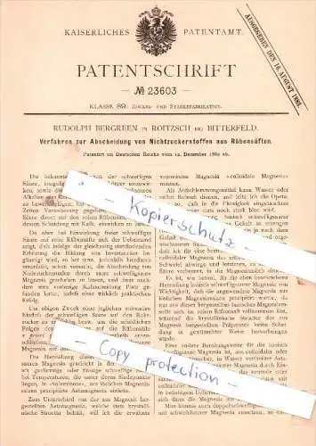 Original Patent - R. Bergreen in Roitzsch bei Bitterfeld , 1882 , Zuckerfabrikation !!!