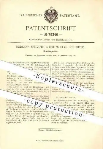 original Patent - Rudolph Bergreen in Roitzsch bei Bitterfeld , 1894, Schnitzelpresse, Zuckerfabrik , Sandersdorf-Brehna