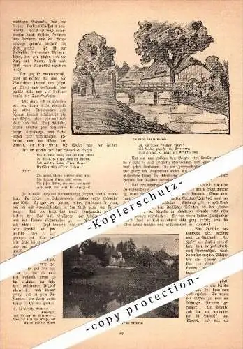 original Zeitungsbericht - 1905 - Aus dem Emmertale , Emmerthal , Welsede , Hämelschenburg , Thal !!!