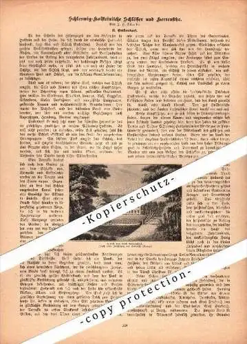 original Zeitungsbericht - 1905 - Schlösser und Herrenhäuser in Schleswig-Holstein , Emkendorf , Rendsburg-Eckernförde !