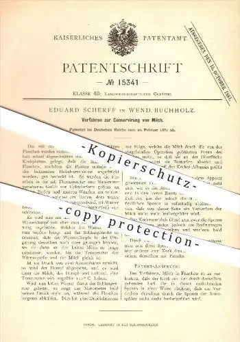 original Patent - Eduard Scherff in Wendisch Buchholz , 1881 , Konservierung von Milch , Märkisch Buchholz