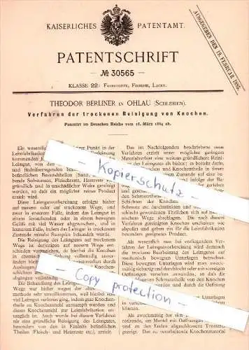 Original Patent - T. Berliner in Ohlau / Olawa , Schlesien , 1884 ,  trockene Reinigung von Knochen !!!