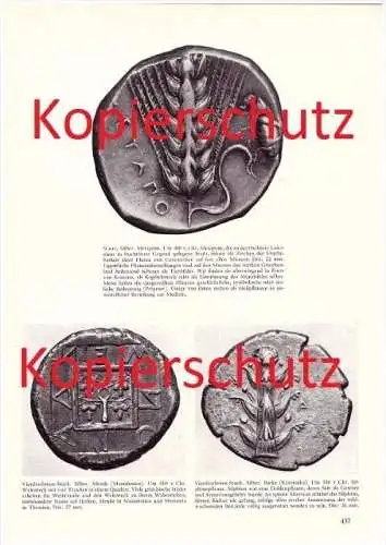 original Zeitungsbericht - 1959 - Münzen des Antiken Griechenland , Silbermünze , Distater , Tier- und Pflanzenbilder !!