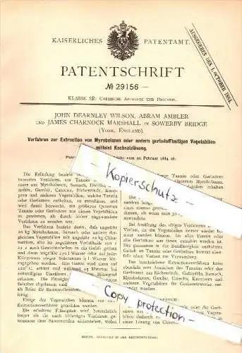 Original Patent - J. Wilson , A. Ambler und J. Marshall in Sowerby Bridge , 1884, Extraction with saline , chemistry !!!