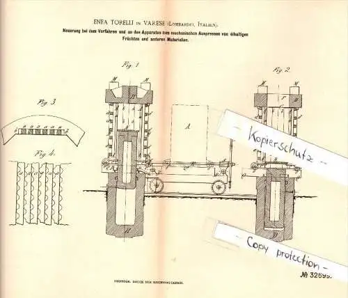 Original Patent - Enea Torelli in Varese , Lombardei , 1885 , Apparecchio per la frutta pressatura !!!