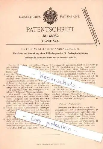 Original Patent -  Dr. Gustav Selle in Brandenburg a. H. , 1902 , farbige Chromgelatinebilder !!!