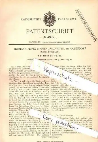 Original Patent - Hermann Rippke in Ober-Jäschkittel b. Olbendorf , Kreis Strehlen , 1889 , Feldmaus - Falle , Mäuse !!!