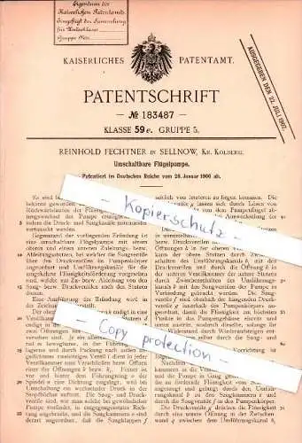 Original Patent - Reinhold Fechtner in Sellnow b. Arnswalde i. Pommern , 1906 , umschaltbare Flügelpumpe , Kolberg !!!