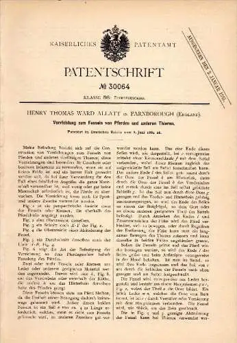 Original Patent - H. Allatt in Farnborough , 1884 , Apparatus for shackles of horses , horse !!!