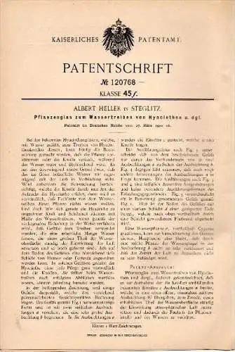 Original Patent - A. Heller in Steglitz b. Berlin , 1900 , Glas für Hyacinthen , Hyacinths , Pflanzen , Blumen !!!