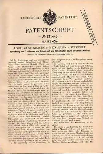 Original Patentschrift - L. Wüstenhagen in Hecklingen b. Stassfurt ,1900, Apparat zur Rüben - Zerkleinerung , Zuckerrübe