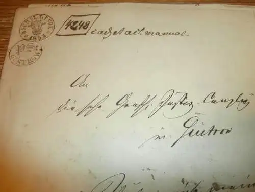 von Plessen in Kambs / Brüel , 1853 , Dokument 8 Seiten , Adel Mecklenburg !!!