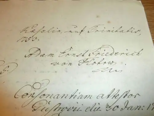 von Flotow auf Reetz , Woldzegarten und Käselin , 1793 , mit Autograph und Siegel , Dokument 8 Seiten , Adel Mecklenburg