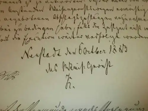 Neustadt und Witten an der Ruhr , 1883 , Dokument 2 Seiten , Adel Mecklenburg